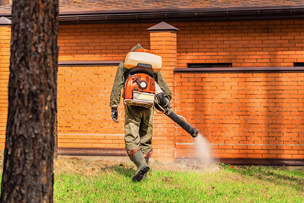 Bed Bug Clearance Verification and Documentation in Eastvale